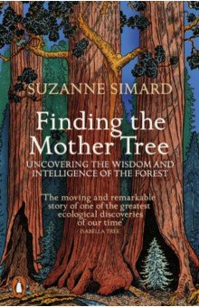 Finding the Mother Tree. Uncovering the Wisdom and Intelligence of the Forest