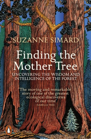 Finding the Mother Tree. Uncovering the Wisdom and Intelligence of the Forest