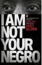 Baldwin James I Am Not Your Negro sanchez e i am not your perfect mexican daughter