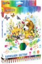 Обложка Карандаши цветные Cosmo, 36 цветов