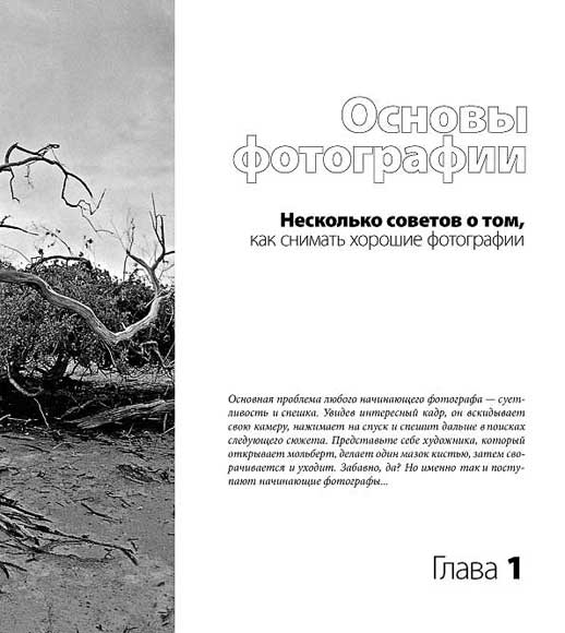 Иллюстрация 3 из 10 для Оранжевая книга цифровой фотографии (+CDpc) - Дмитрий Рудаков | Лабиринт - книги. Источник: Лабиринт