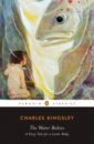 Kingsley Charles The Water Babies. A Fairy Tale for a Land-Baby dasent g w tibbits charles john pyle katharine norse fairy