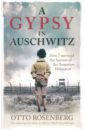 Rosenberg Otto A Gypsy In Auschwitz. How I Survived the Horrors of the Forgotten Holocaust детский матрас sinti