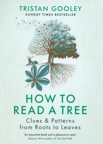 How to Read a Tree. Clues & Patterns from Roots to Leaves