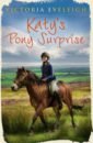 Eveleigh Victoria Katy's Pony Surprise hapka catherine pony scouts the new pony level 2