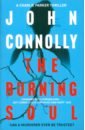 Connolly John The Burning Soul ley rosanna bay of secrets
