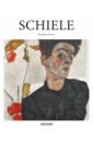 Steiner Reinhard Schiele steiner reinhard schiele 1890 1918 the midnight soul of the artist