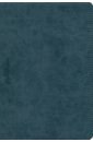 Обложка Ежедневник недатированный Ницца, синий, А5, 144 листа