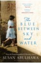 Abulhawa Susan The Blue Between Sky and Water lejeune jean francois rural utopia and water urbanism the modern village in franco s spain