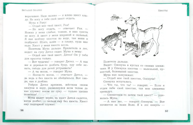 Иллюстрация 1 из 4 для Лесные были - Виталий Бианки | Лабиринт - книги. Источник: Лабиринт