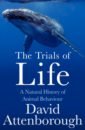 Attenborough David The Trials of Life. A Natural History of Animal Behaviour cusset c life of david hockney