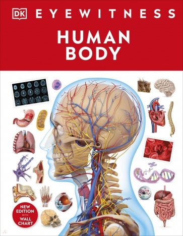 Human Body