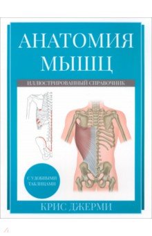 Анатомия мышц. Иллюстрированный справочник