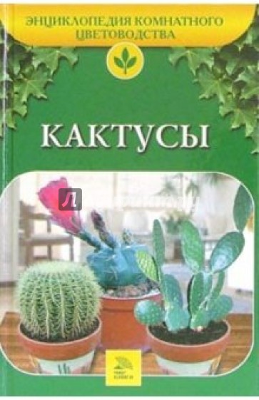 Кактусы