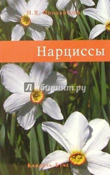 Нарциссы