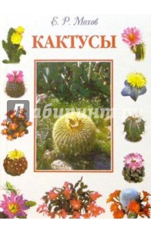 Кактусы - Евгений Мохов