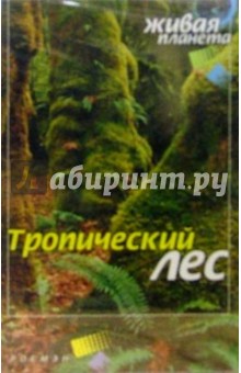А/к. Тропический лес: Музыка для релаксации