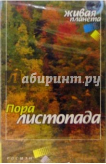 А/к. Пора листопада: Музыка для релаксации обложка книги А/к. Пора листопада: Музыка для релаксации обложка книги