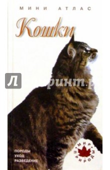 Кошки обложка книги Кошки обложка книги