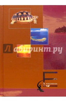 Ежедневник А5 Черепаха /С24427 Ежедневник А5 Черепаха /С24427