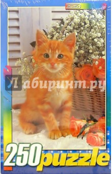 Пазл-250. ПО250174 Рыжий котенок с букетом обложка книги Пазл-250. ПО250174 Рыжий котенок с букетом обложка книги