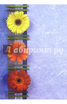 Тетрадь 96 листов (клетка) (твердый переплет) /4667 Тетрадь 96 листов (клетка) (твердый переплет) /4667