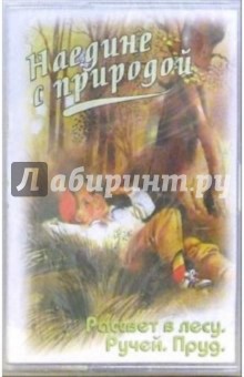 А/к. Наедине с природой: Рассвет в лесу. Ручей