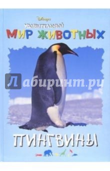 Удивительный мир животных: Пингвины