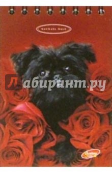 Блокнот 40 листов 2822/4 Rachael Hale Блокнот 40 листов 2822/4 Rachael Hale