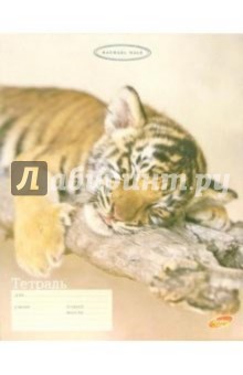 Тетрадь 12 листов, клетка 2828/4 (дикие кошки) Тетрадь 12 листов, клетка 2828/4 (дикие кошки)