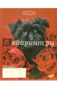 Тетрадь 48 листов, клетка 3048/4 (собака) Тетрадь 48 листов, клетка 3048/4 (собака)