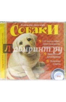 Домашние питомцы: Собаки Домашние питомцы: Собаки
