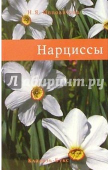 Нарциссы - Нина Ипполитова