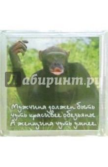 Магнитные подарочки. Мужчина должен... Магнитные подарочки. Мужчина должен...