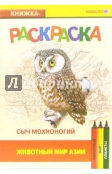 Сыч мохноногий. Животный мир Азии обложка книги Сыч мохноногий. Животный мир Азии обложка книги