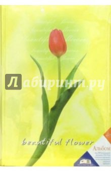 6450 Фотоальбом LM-4R300CPPBB 6450 Фотоальбом LM-4R300CPPBB