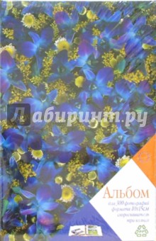 1703 Фотоальбом LM-4R300RB 1703 Фотоальбом LM-4R300RB