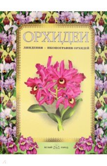Орхидеи. Линдения - иконография орхидей