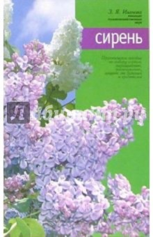 Зинаида Иванова - Сирень обложка книги Зинаида Иванова - Сирень обложка книги