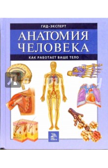 Анатомия человека. Как работает ваше тело обложка книги Анатомия человека. Как работает ваше тело обложка книги