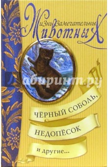 Мамин-Сибиряк, Паустовский, Бианки, Коваль, Сысоев - Черный соболь, Недопесок и другие...: Сборник обложка книги Мамин-Сибиряк, Паустовский, Бианки, Коваль, Сысоев - Черный соболь, Недопесок и другие...: Сборник обложка книги