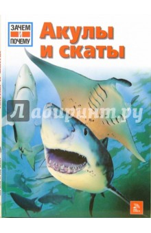Витус Дрешер - Акулы и скаты обложка книги Витус Дрешер - Акулы и скаты обложка книги