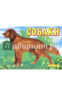 Собаки. Раскраска (М-011)