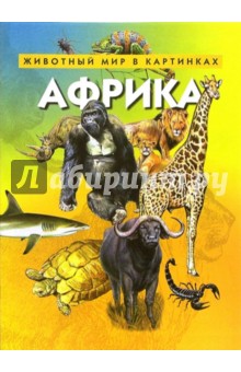 Африка
