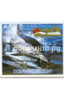 CD. Dolphins Delight CD. Dolphins Delight