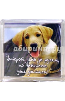Магнитные подарочки. Второй день за рулем, но чайники уже достали! (М-207) Магнитные подарочки. Второй день за рулем, но чайники уже достали! (М-207)