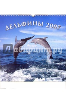 Календарь. Дельфины. 2007 год Календарь. Дельфины. 2007 год