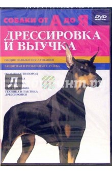 Дрессировка и выучка Дрессировка и выучка