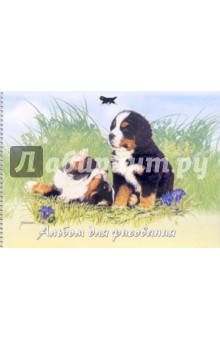 Альбом для рисования 40 листов / 34,35 (Newfy) Альбом для рисования 40 листов / 34,35 (Newfy)