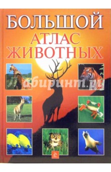 Большой атлас животных обложка книги Большой атлас животных обложка книги